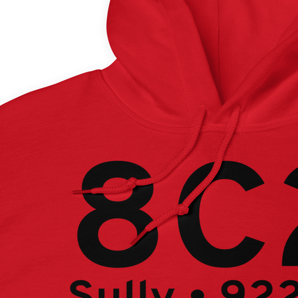 Sully (8C2) Airport Hoodie Sweatshirt 