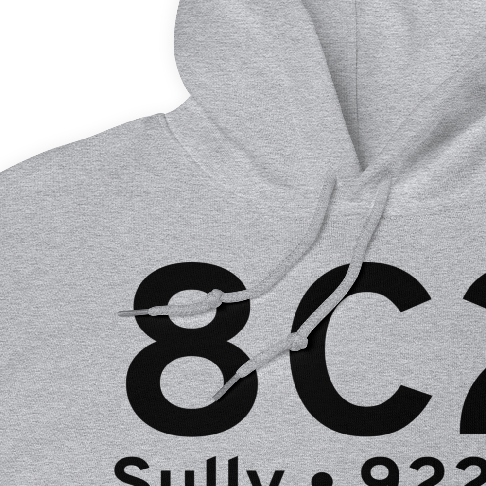 Sully (8C2) Airport Hoodie Sweatshirt 