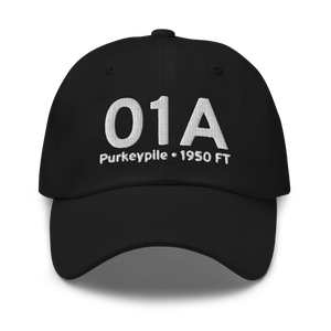 Purkeypile (01A) Airport Hat