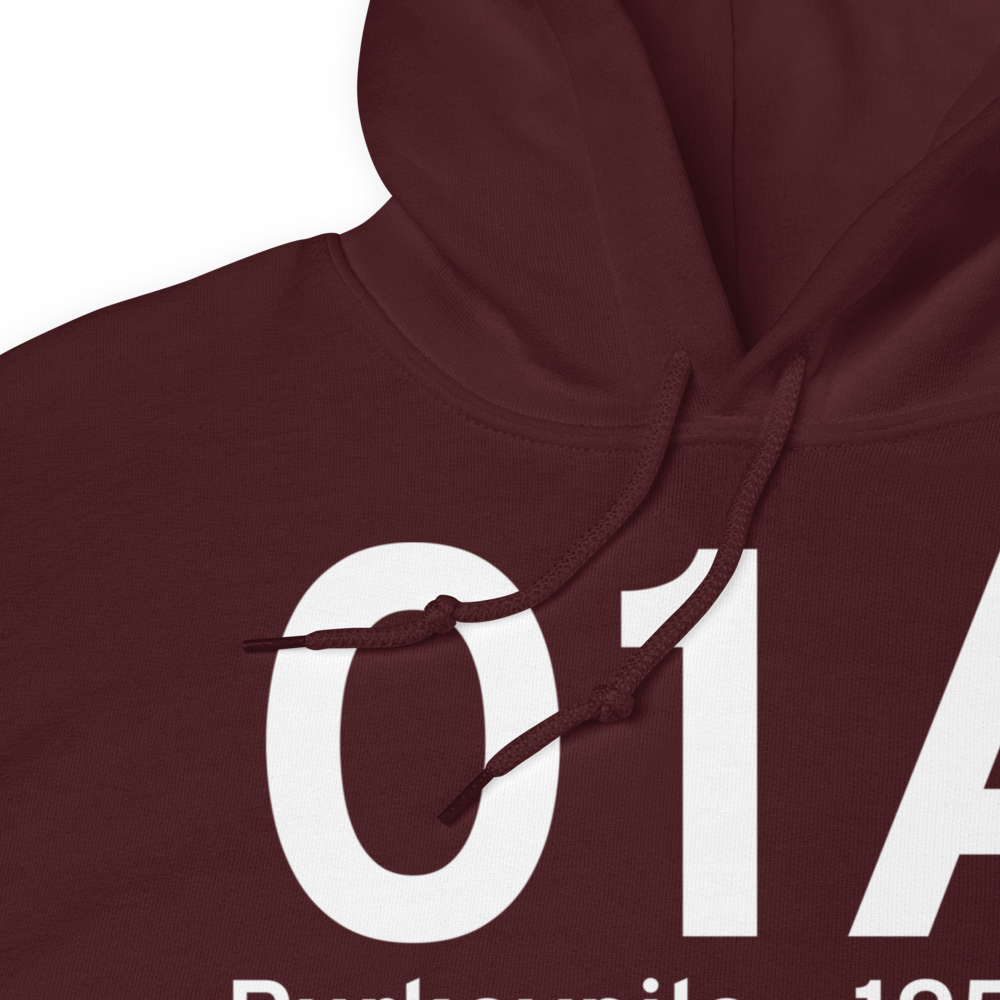 Purkeypile (01A) Airport Hoodie Sweatshirt 