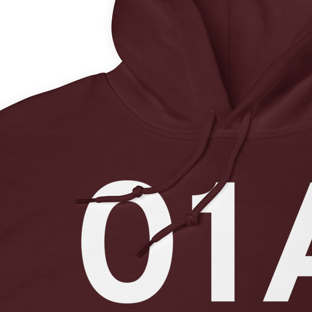 Purkeypile (01A) Airport Hoodie Sweatshirt 