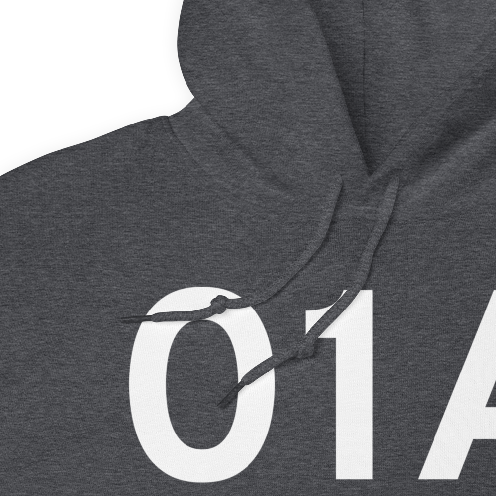 Purkeypile (01A) Airport Hoodie Sweatshirt 