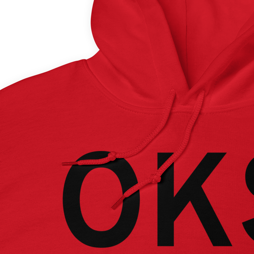 Oshkosh (KOKS) Airport Hoodie Sweatshirt 