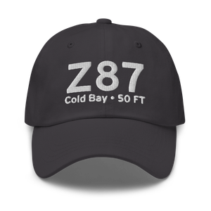 Cold Bay (Z87) Airport Hat