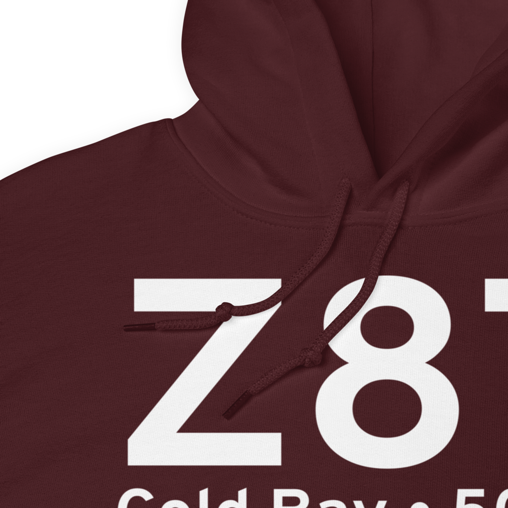 Cold Bay (Z87) Airport Hoodie Sweatshirt 