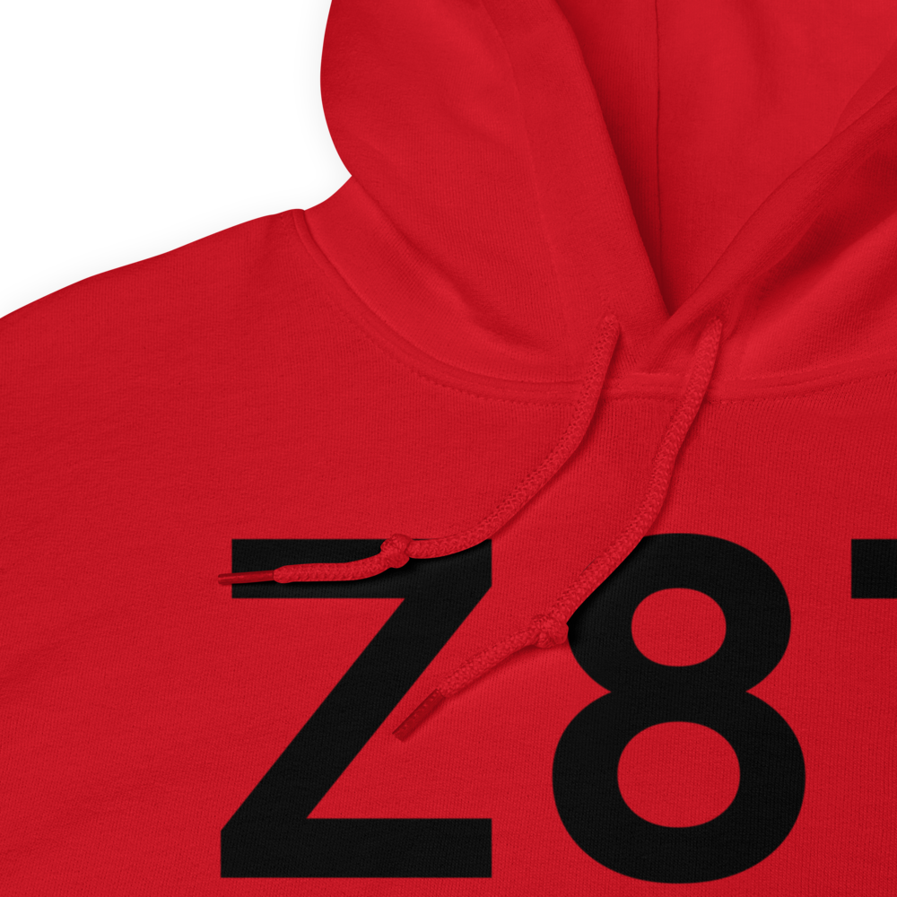 Cold Bay (Z87) Airport Hoodie Sweatshirt 