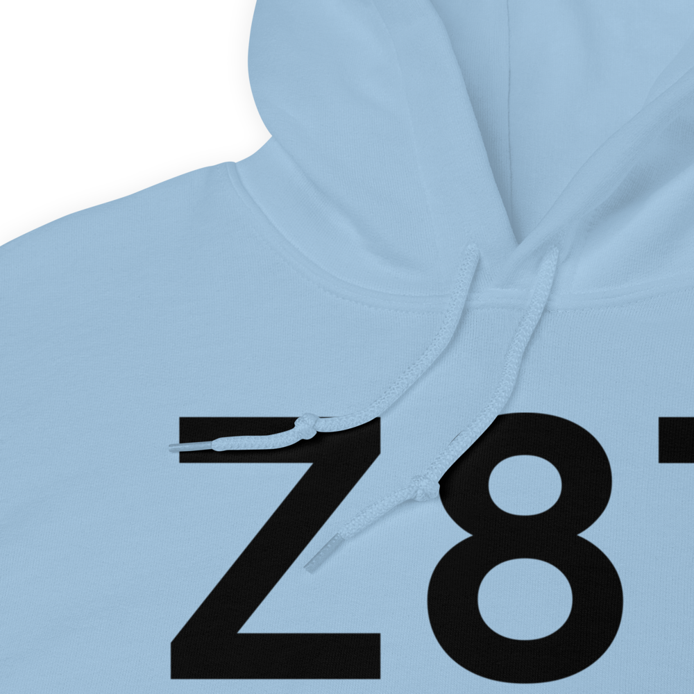Cold Bay (Z87) Airport Hoodie Sweatshirt 