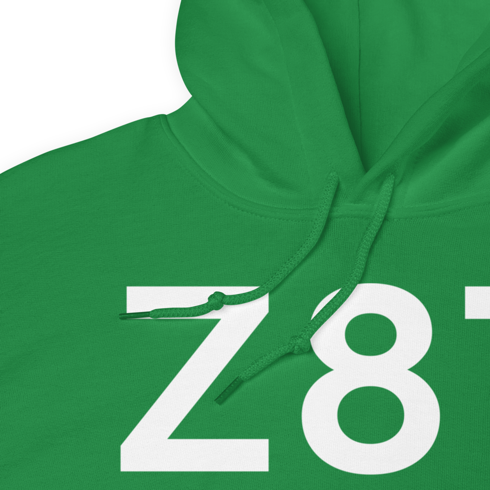 Cold Bay (Z87) Airport Hoodie Sweatshirt 