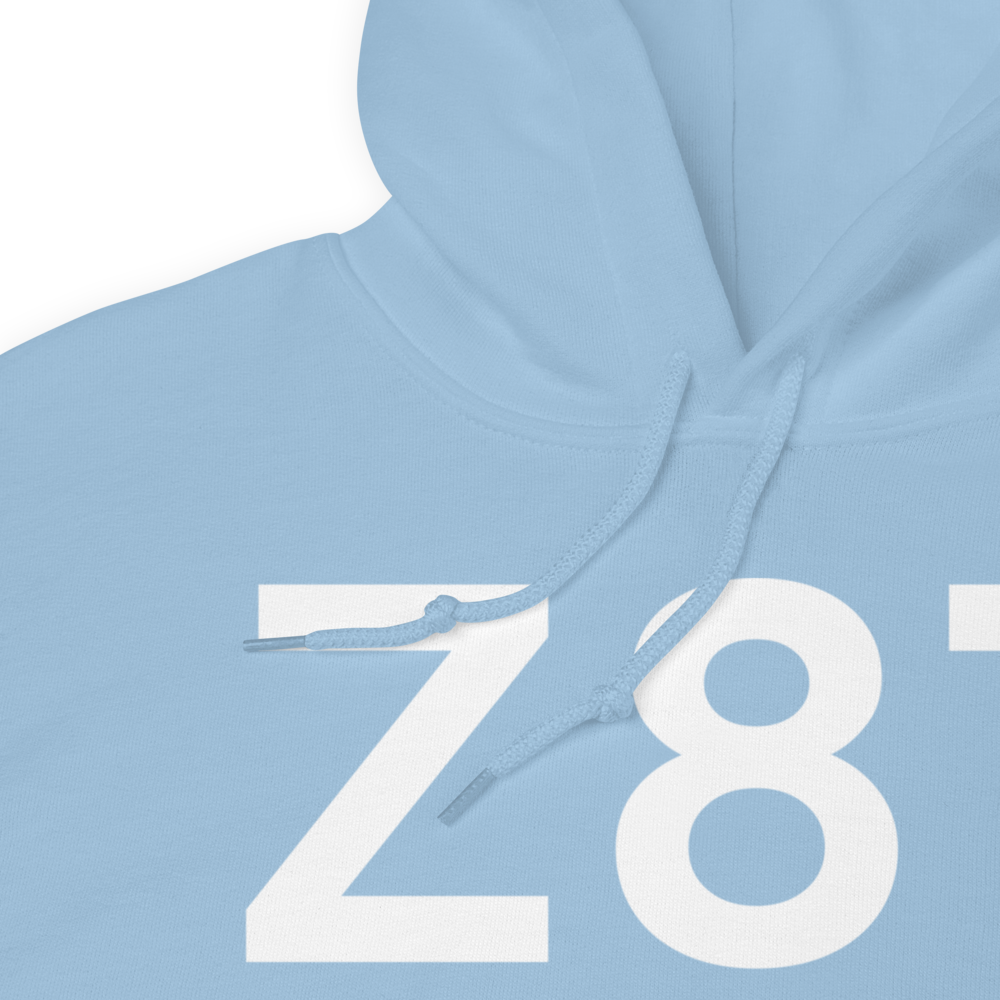 Cold Bay (Z87) Airport Hoodie Sweatshirt 
