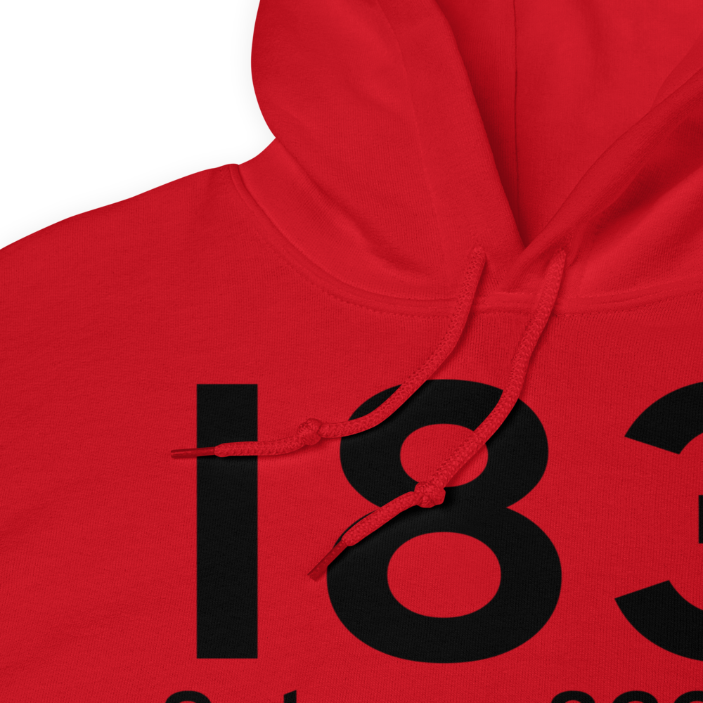 Salem (I83) Airport Hoodie Sweatshirt 