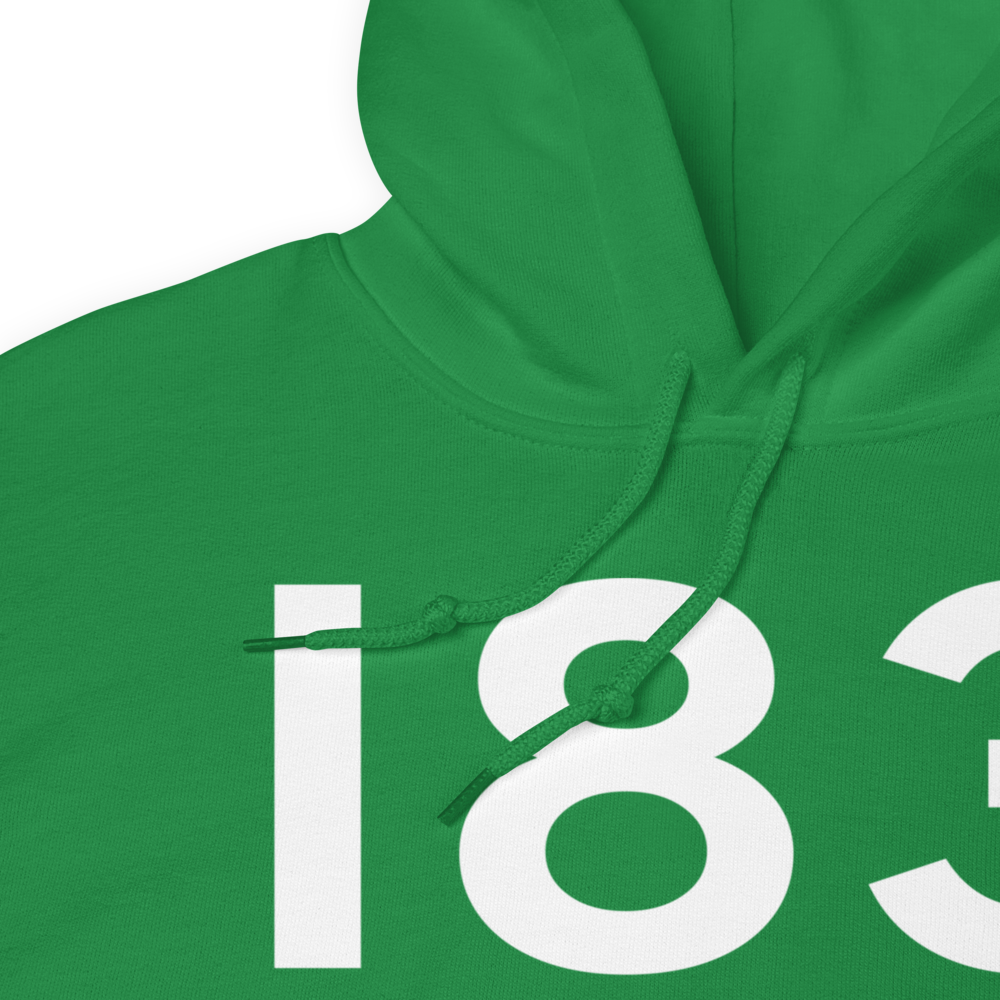 Salem (I83) Airport Hoodie Sweatshirt 