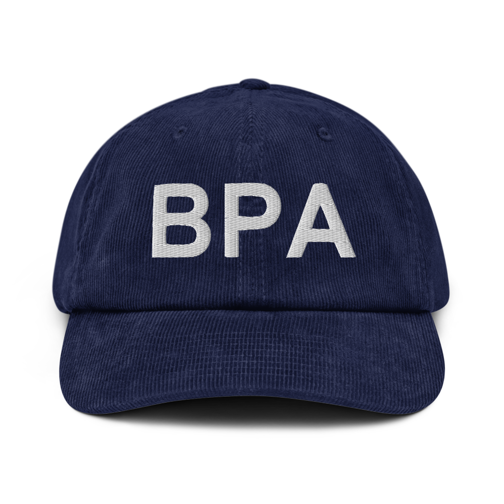 Bethpage (US-BPA) Airport Hat 