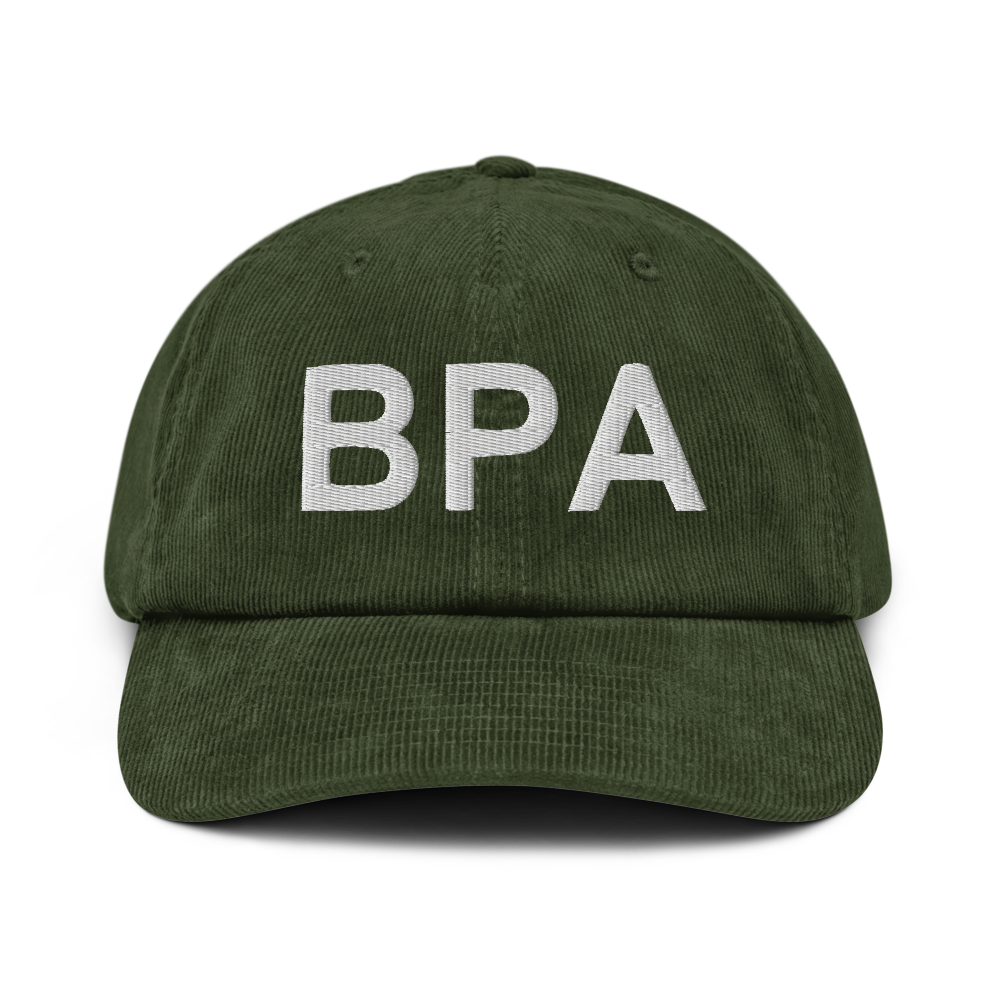Bethpage (US-BPA) Airport Hat 