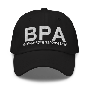 Bethpage (US-BPA) Airport Hat