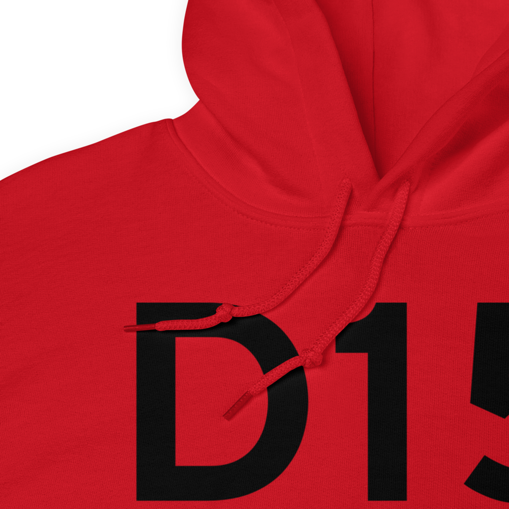 Lake Isabella (D15) Airport Hoodie Sweatshirt 