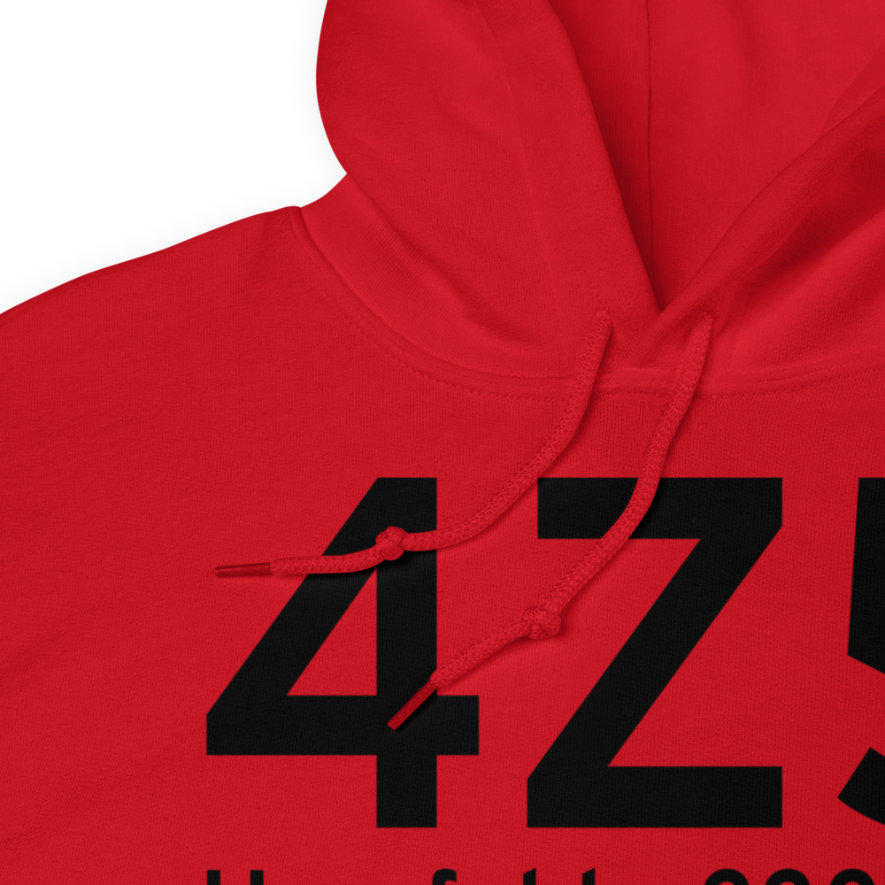 Horsfeld (4Z5) Airport Hoodie Sweatshirt 