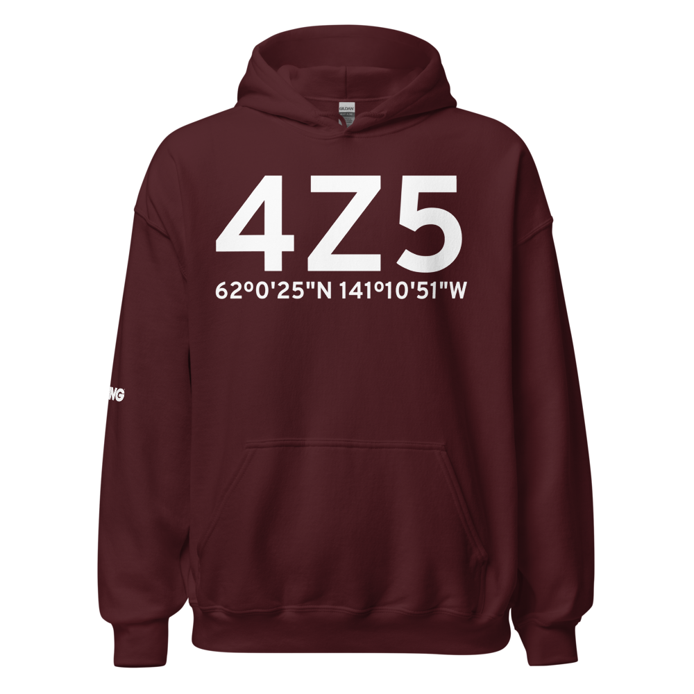 Horsfeld (4Z5) Airport Hoodie Sweatshirt 