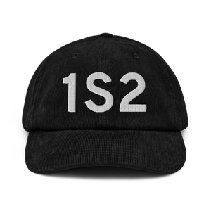 Darrington (1S2) Airport Hat