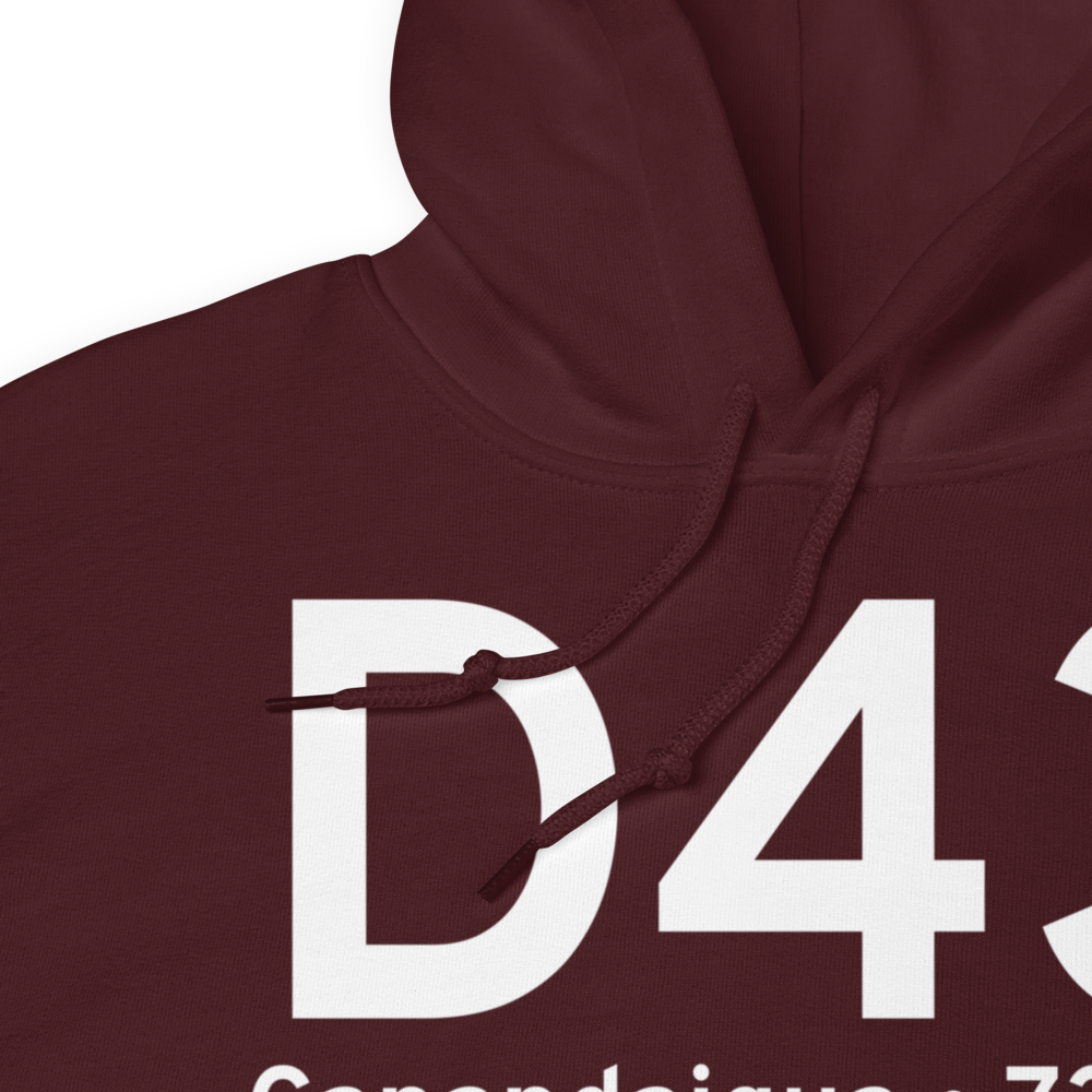 Canandaigua (D43) Airport Hoodie Sweatshirt 