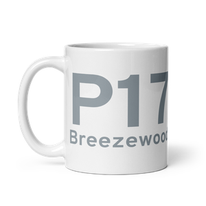 Breezewood (US-0948) Airport Mug