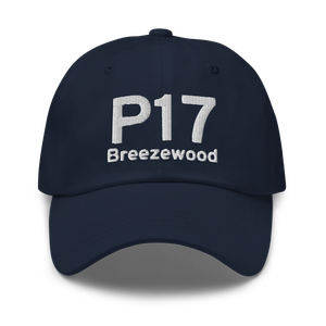 Breezewood (US-0948) Airport Hat