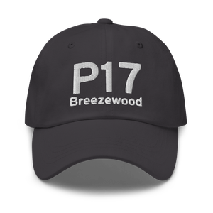 Breezewood (US-0948) Airport Hat