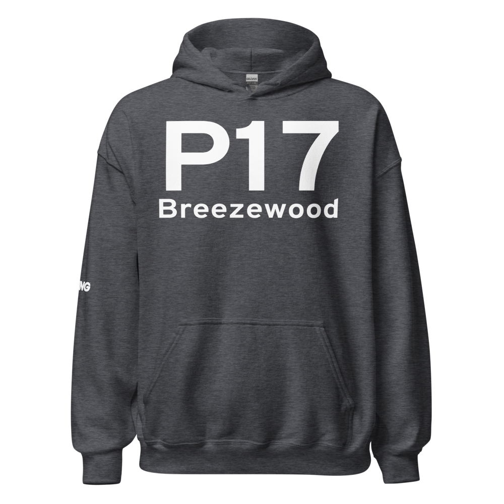 Breezewood (US-0948) Airport Hoodie Sweatshirt 