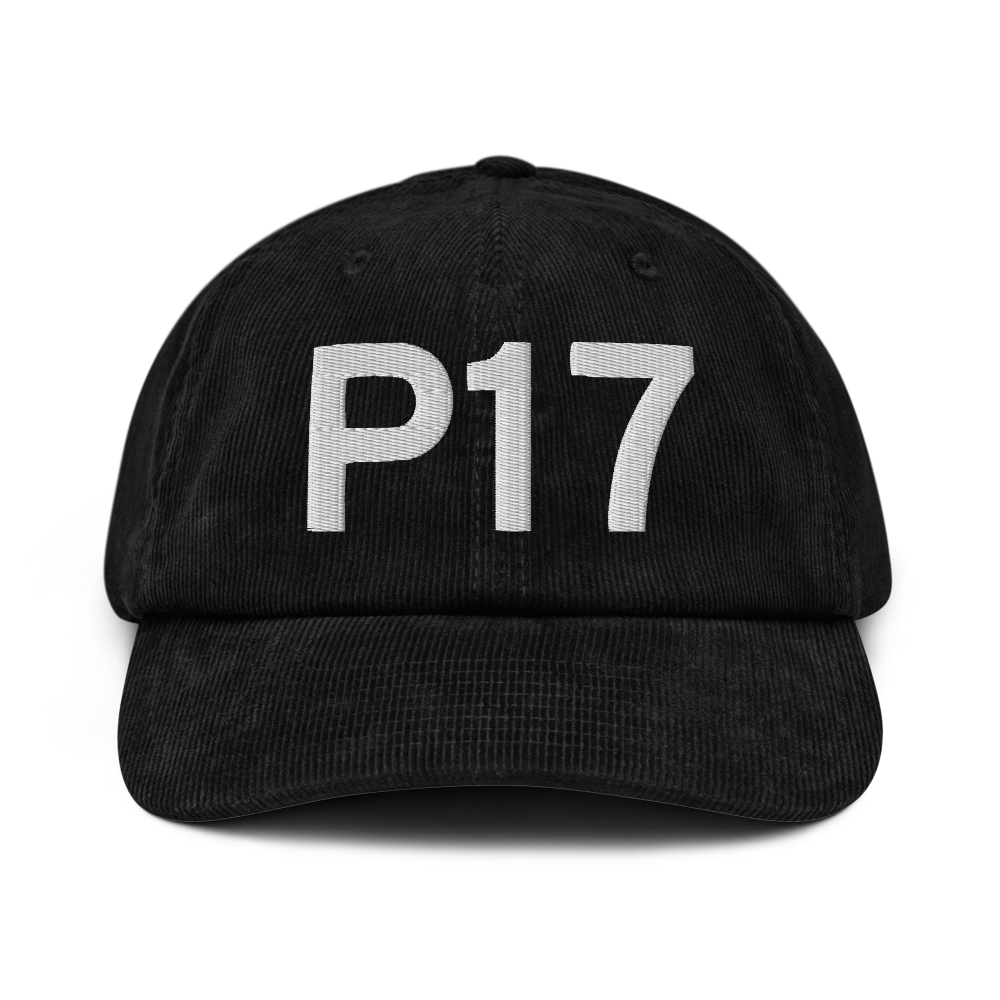 Breezewood (US-0948) Airport Hat 