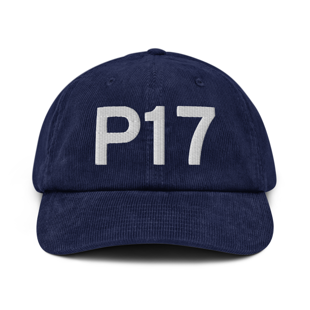 Breezewood (US-0948) Airport Hat 