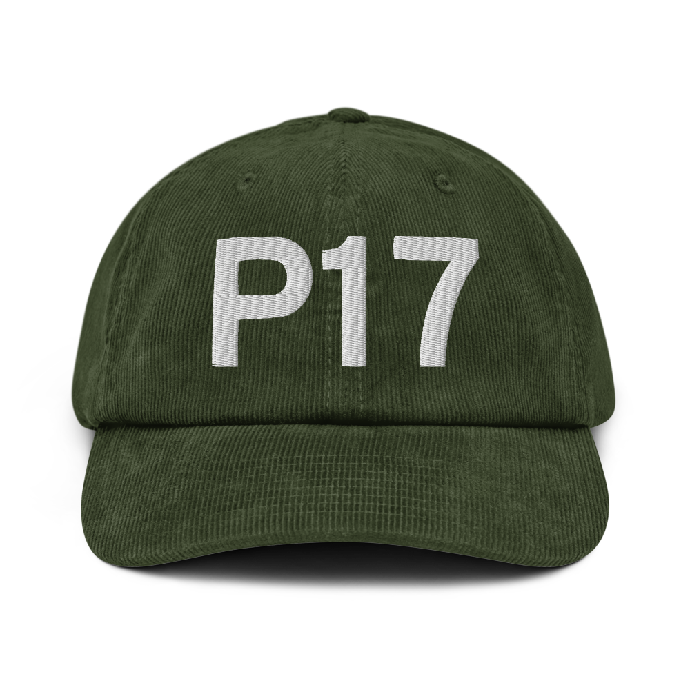 Breezewood (US-0948) Airport Hat 