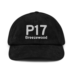 Breezewood (US-0948) Airport Hat