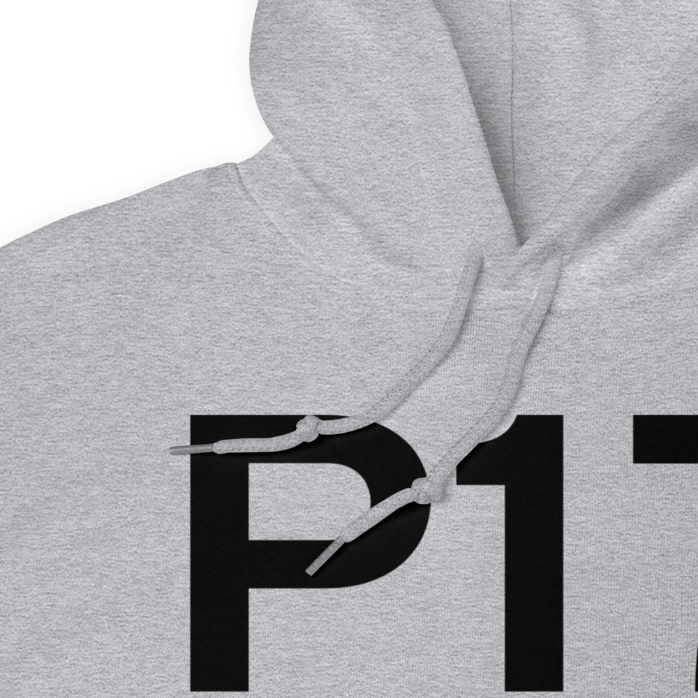 Breezewood (US-0948) Airport Hoodie Sweatshirt 