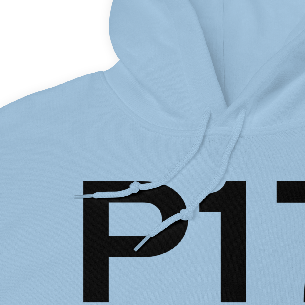 Breezewood (US-0948) Airport Hoodie Sweatshirt 