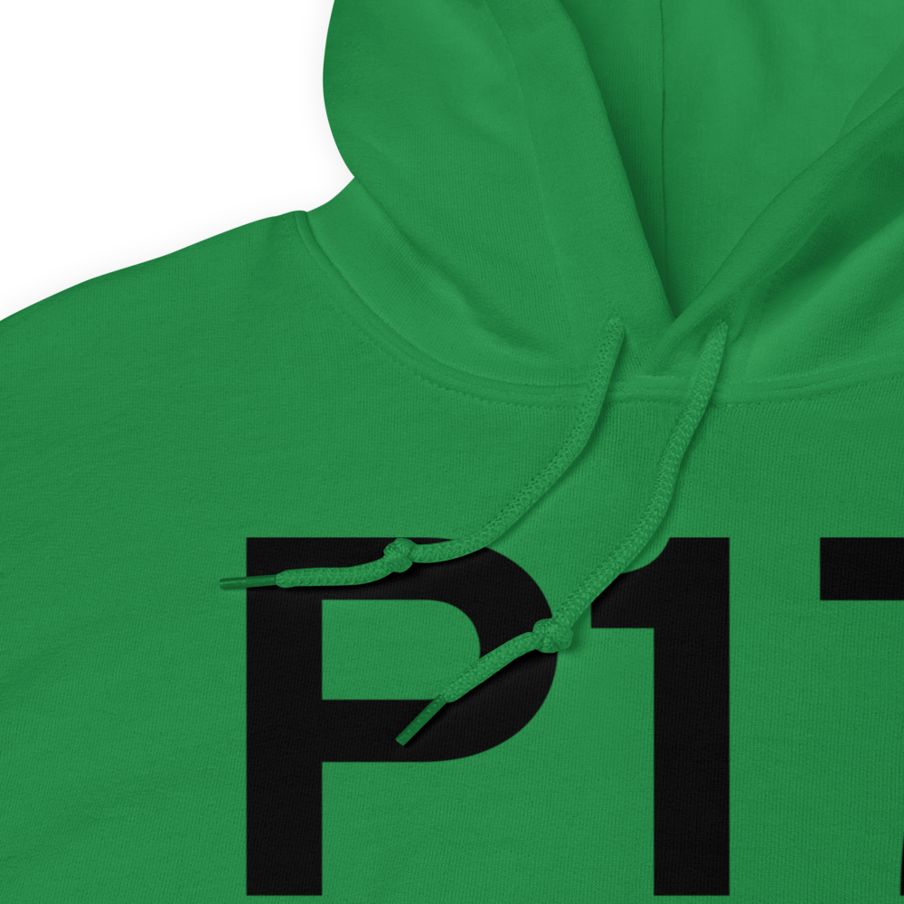Breezewood (US-0948) Airport Hoodie Sweatshirt 