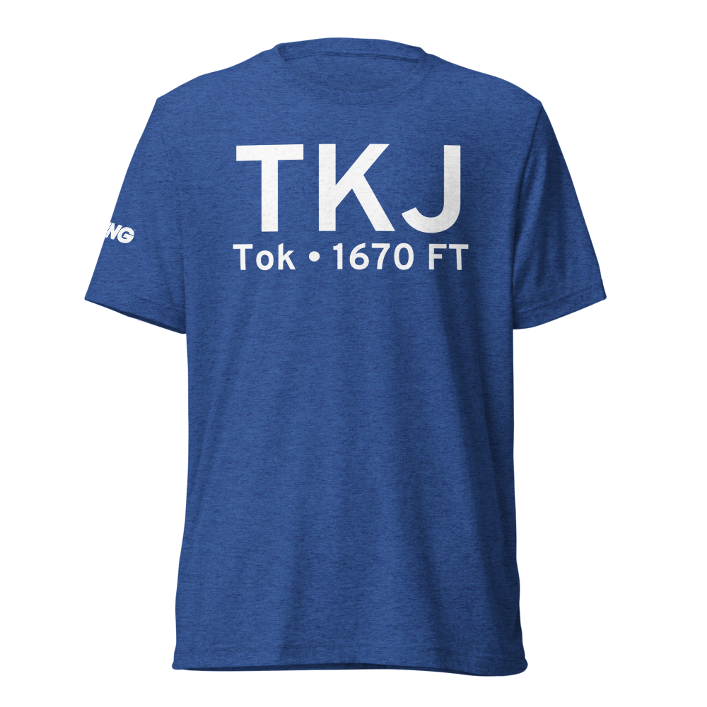 Tok (PATJ) Airport Tri-blend T-Shirt 