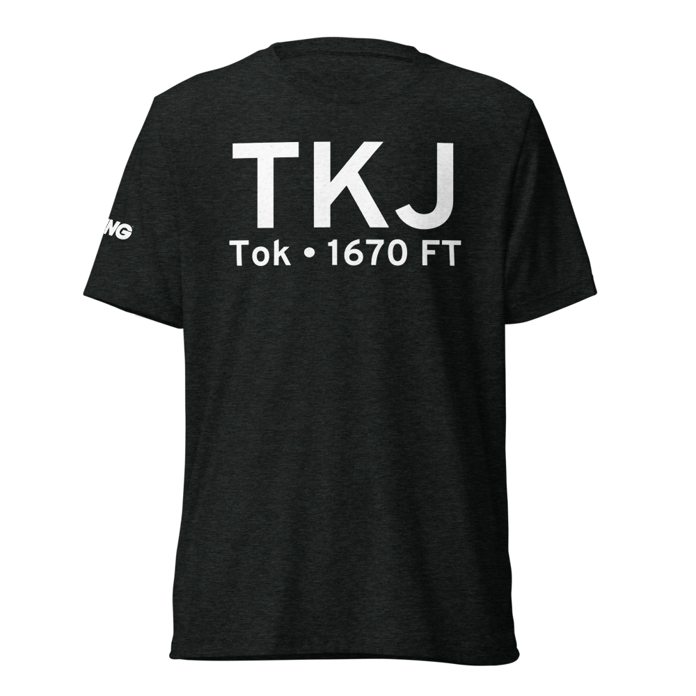 Tok (PATJ) Airport Tri-blend T-Shirt 