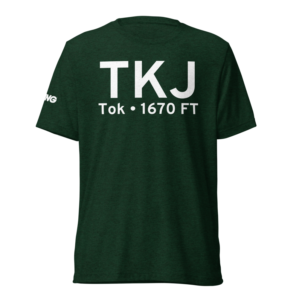 Tok (PATJ) Airport Tri-blend T-Shirt 