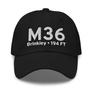 Brinkley (KM36) Airport Hat