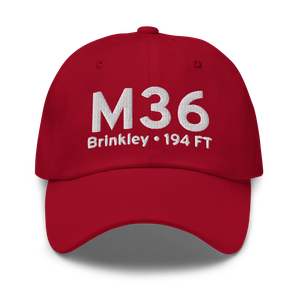 Brinkley (KM36) Airport Hat