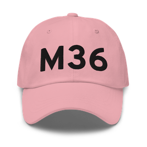 Brinkley (KM36) Airport Hat