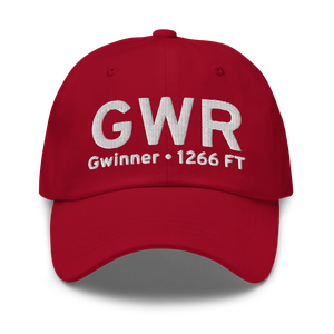 Gwinner (KGWR) Airport Hat
