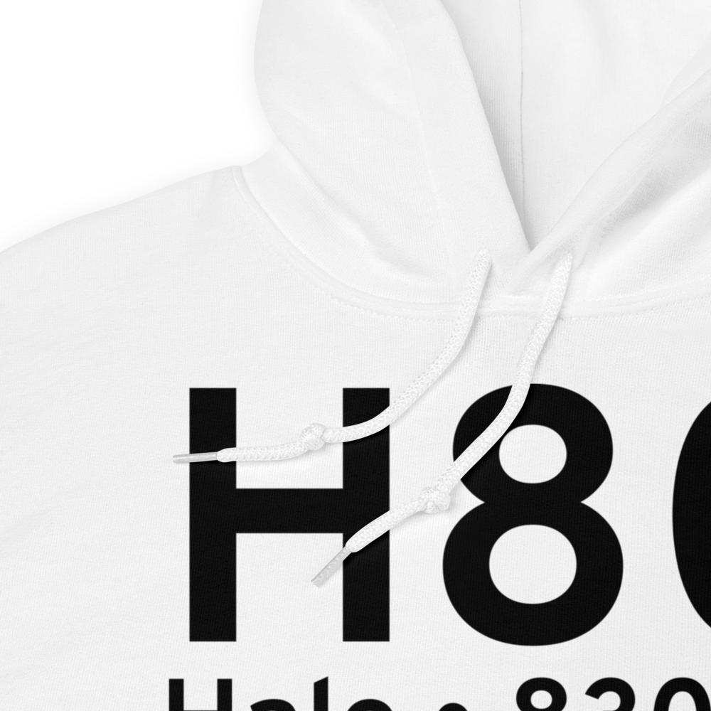 Hale (H80) Airport Hoodie Sweatshirt 