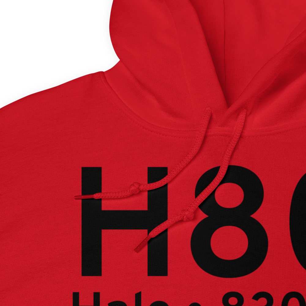 Hale (H80) Airport Hoodie Sweatshirt 