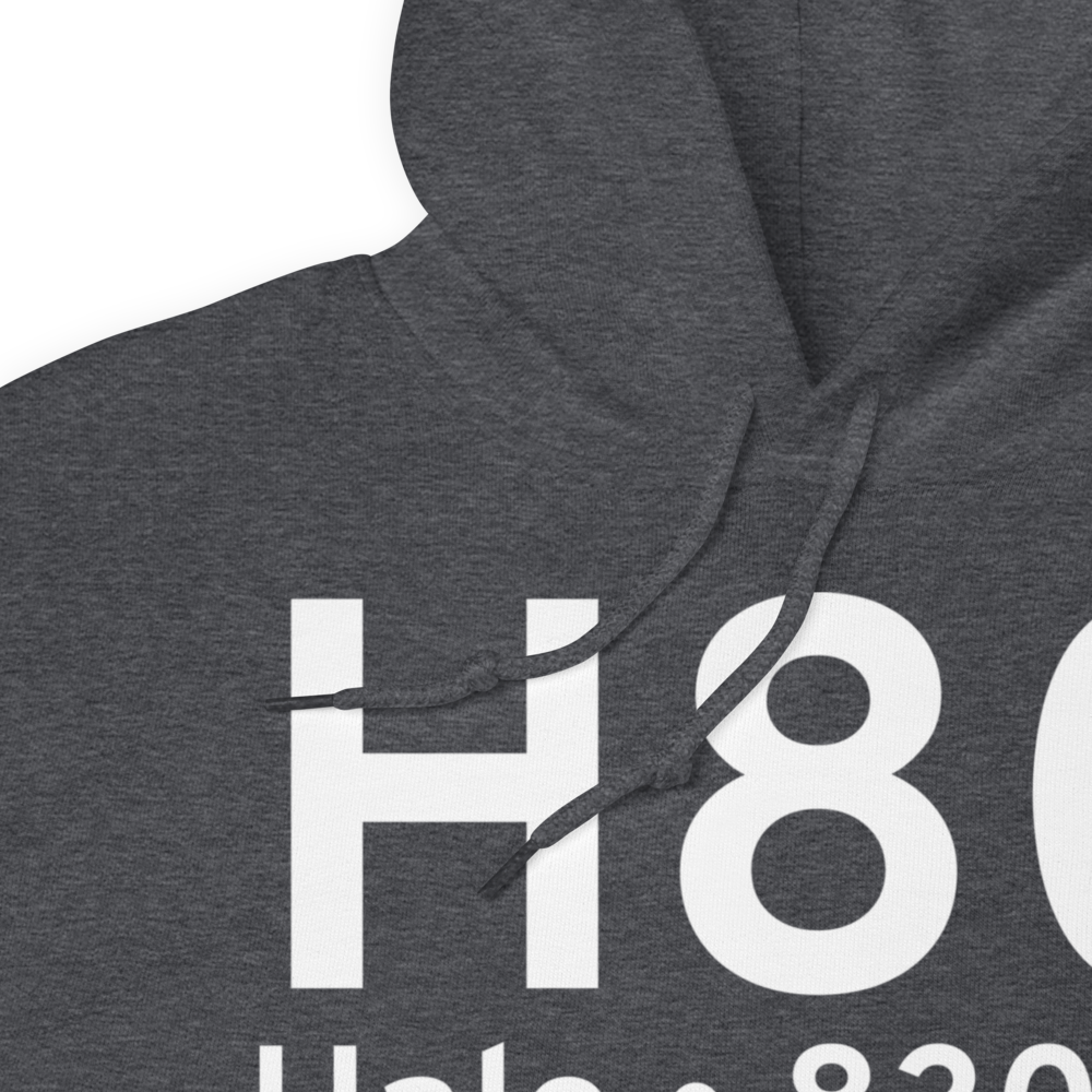 Hale (H80) Airport Hoodie Sweatshirt 