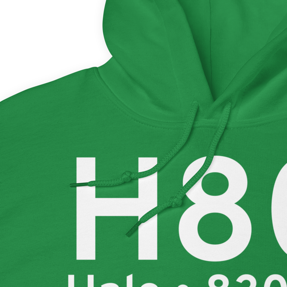 Hale (H80) Airport Hoodie Sweatshirt 
