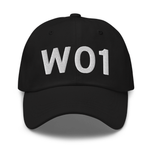 Tonasket (KW01) Airport Hat