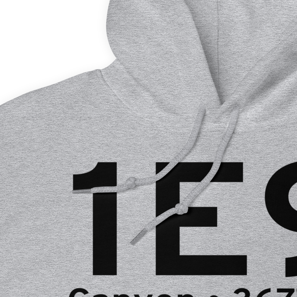 Canyon (1E9) Airport Hoodie Sweatshirt 