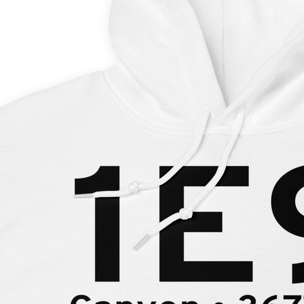 Canyon (1E9) Airport Hoodie Sweatshirt 