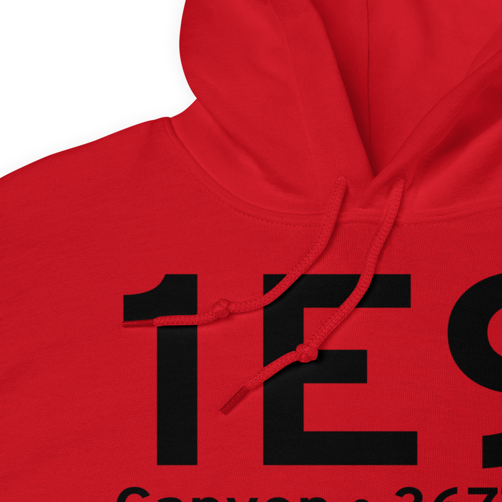 Canyon (1E9) Airport Hoodie Sweatshirt 