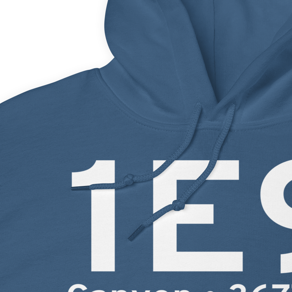 Canyon (1E9) Airport Hoodie Sweatshirt 